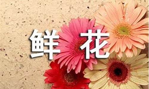 鲜花点缀生活的句子说说心情_鲜花点缀生活