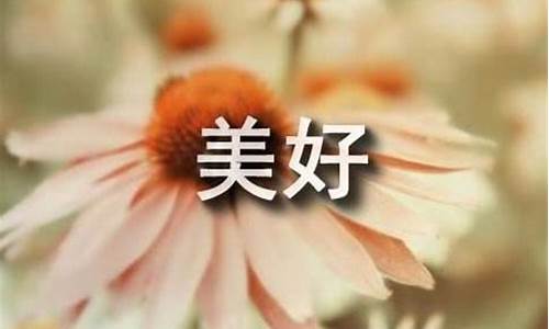 对自己对生活优美句子摘抄免费_对自己人生生活说说