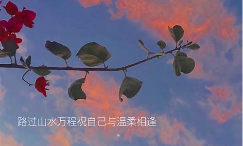 抖音唯美句子短句怎么写的_抖音唯美句子短句怎么写