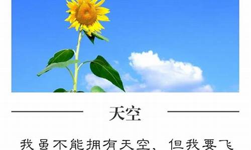 美句摘抄大全及分析_美句欣赏整理